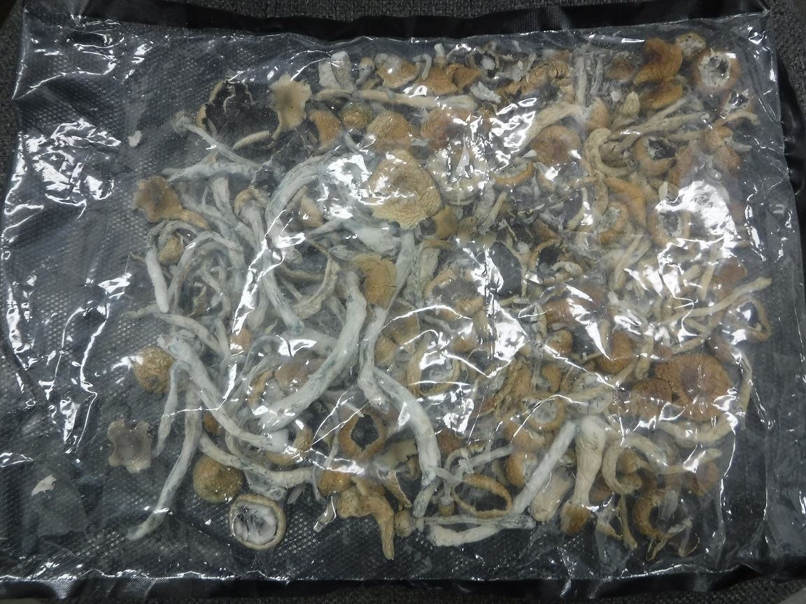 Search Warrant - Case 201603973